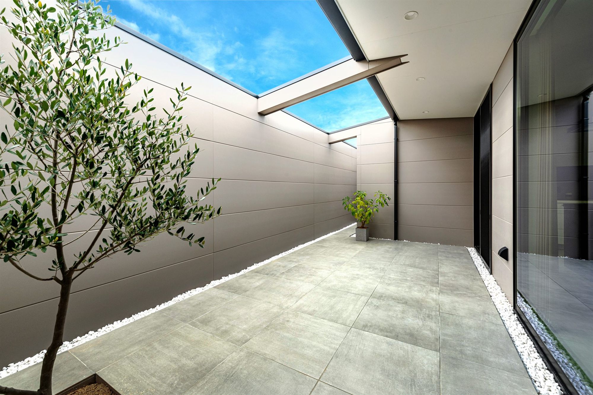 青空が切り取られた中庭と、オリーブの木（ARCHI PRODUCTS 設計・施工）